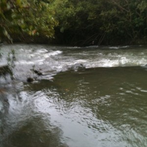 creek rising Jan11 001