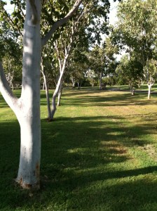 sunday_walkJan11 001