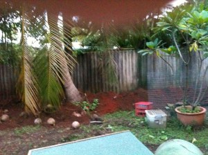 disorder in the house 003